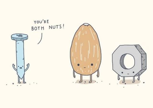 pun jokes