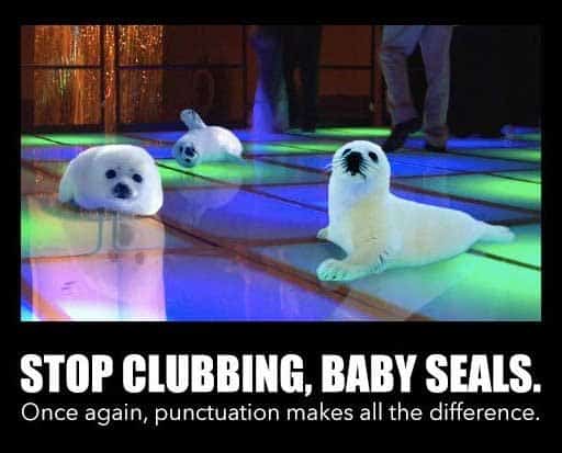 clubbing-baby-seals-meme