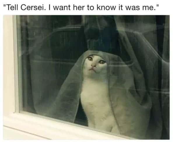 game of thrones meme, funny game of thrones memes, best game of thrones memes, GoT memes, game of thrones season 7 memes, game of thrones season 6 memes, game of thrones season 1 meme, game of thrones cersei meme