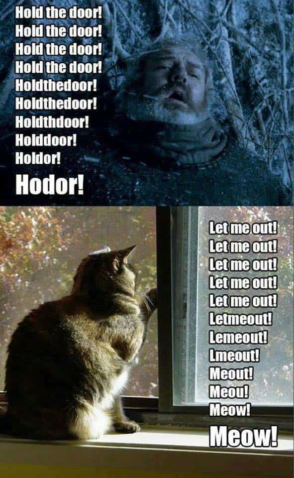 game of thrones meme, funny game of thrones memes, best game of thrones memes, GoT memes, game of thrones season 7 memes, game of thrones season 6 memes, game of thrones season 1 meme, game of thrones cersei meme