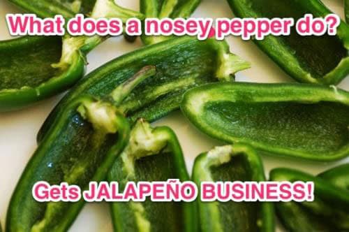food-pun-photo