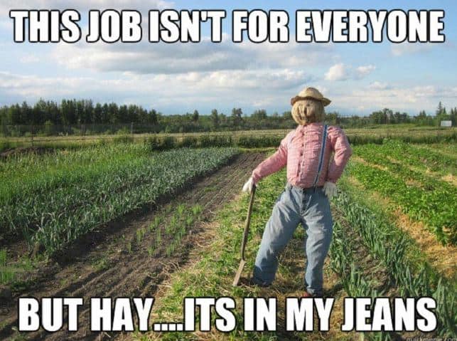 in my jeans