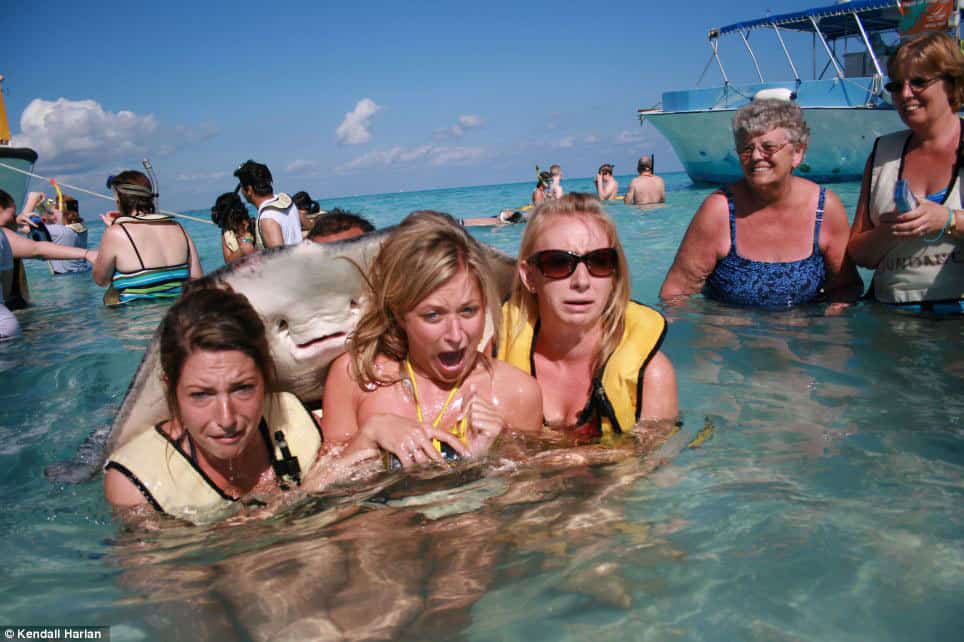 best-photobomb-ever