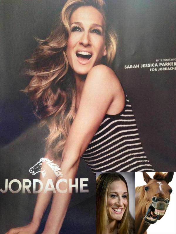 sarah-jessica-parker-horse-jordache