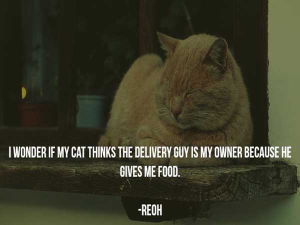 internet wisdom