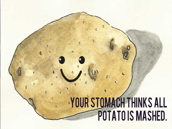 smartest internet quote