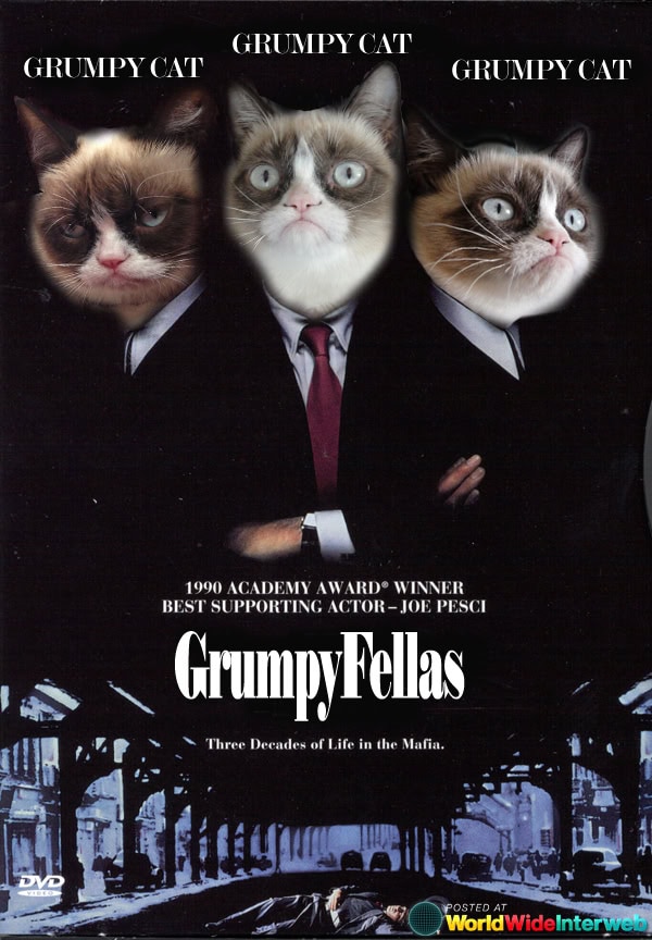 Grumpy Cat Movies