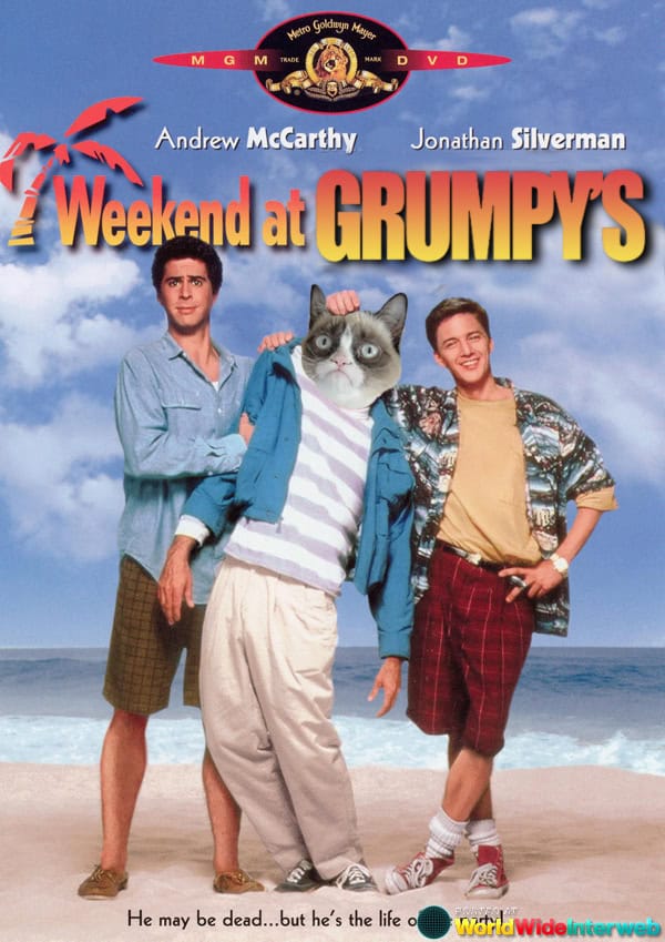 Possible Grumpy Cat Movies