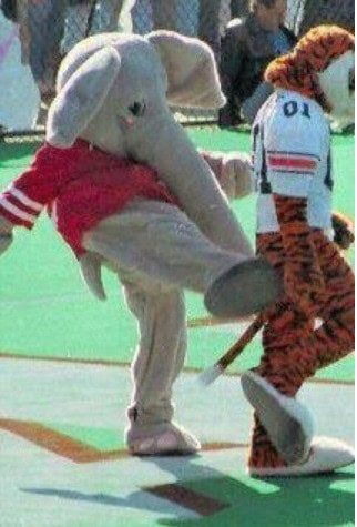 alabama mascot funny