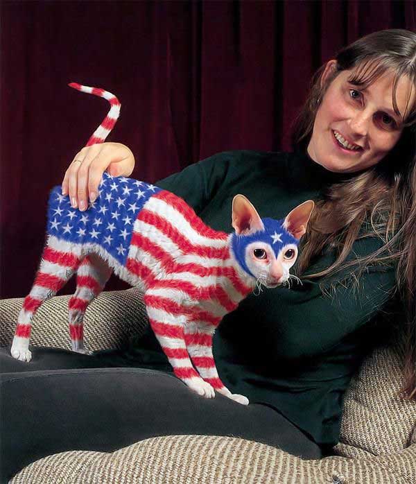 america-family-photo-cat
