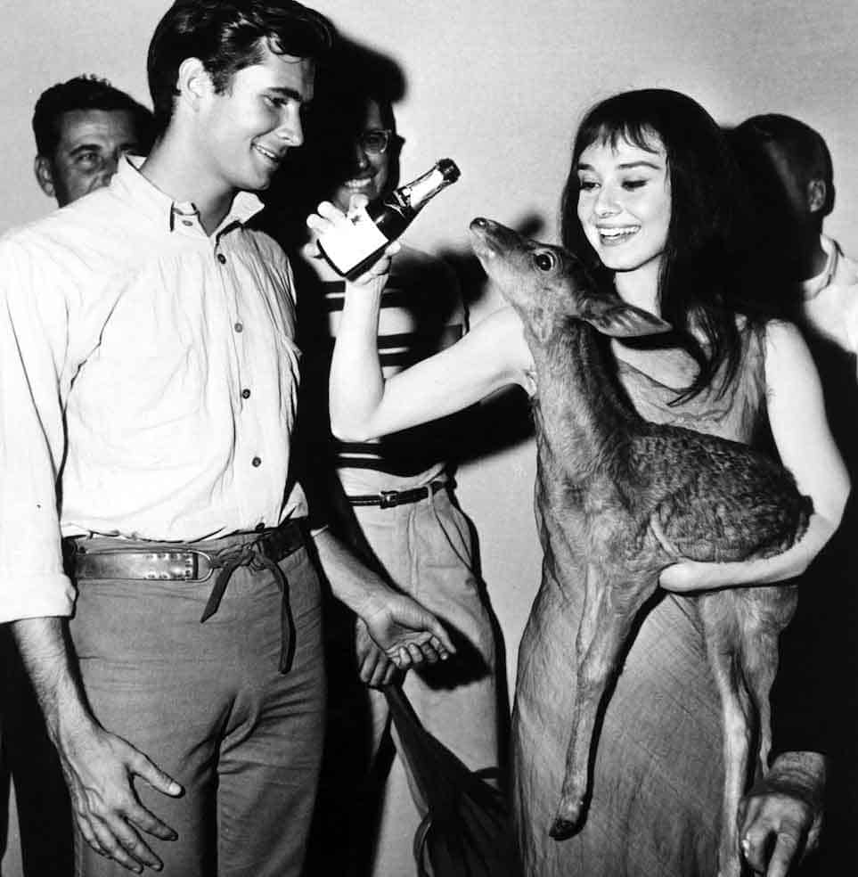 aubrey-hepburn-deer