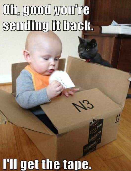 babies-with-cats
