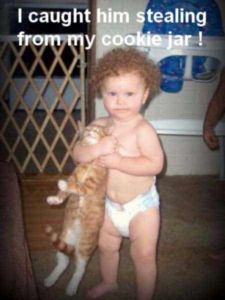 baby-cat-photos