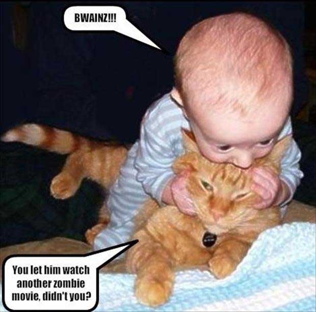 baby-eat-cat