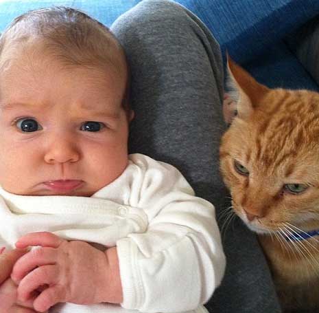 baby-suspcious-of-cat