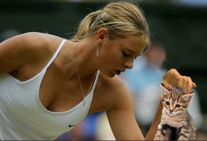 balls replaced by cats
