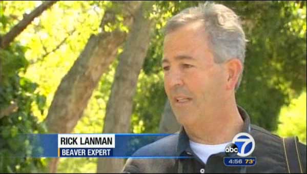 beaver-expert