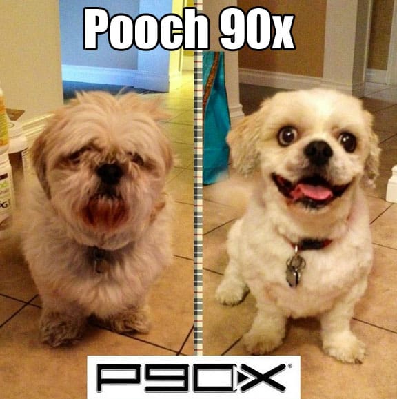 before-after-dog