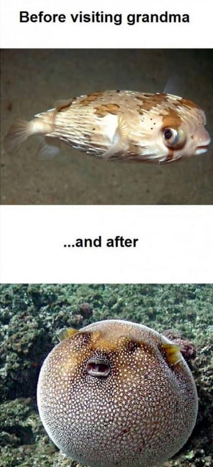 before-after-grandma