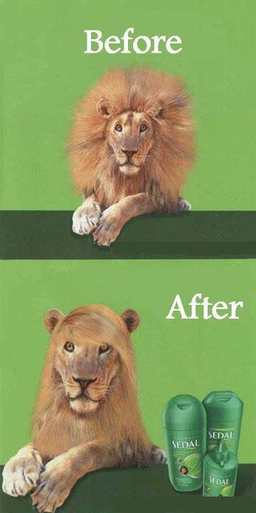 before-after-hair
