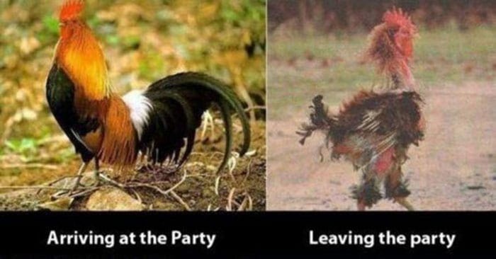 before-after-party