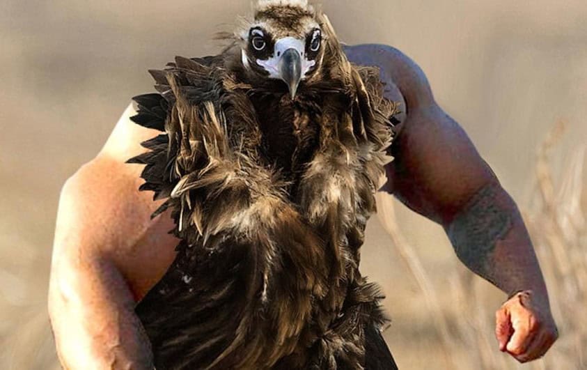best birds with arms