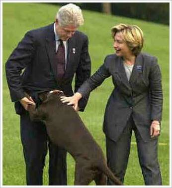 bill-clinton-funny