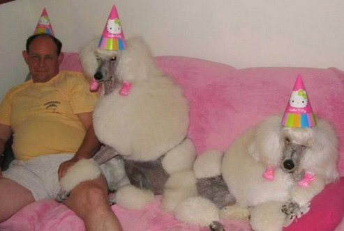 bizarre photo gallery