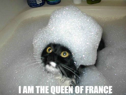 bubbles-cat