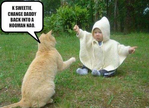 cat-baby-face-off