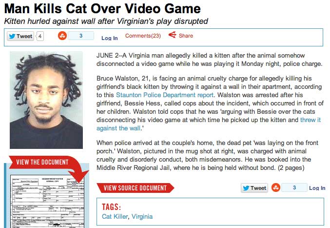 cat-video-game-headline