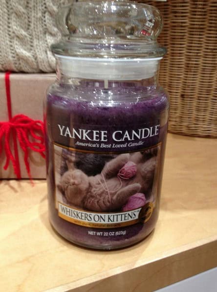 cat candles