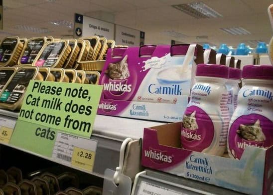 cat milk funny