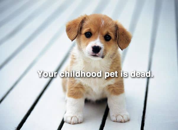 childhood pet is dead