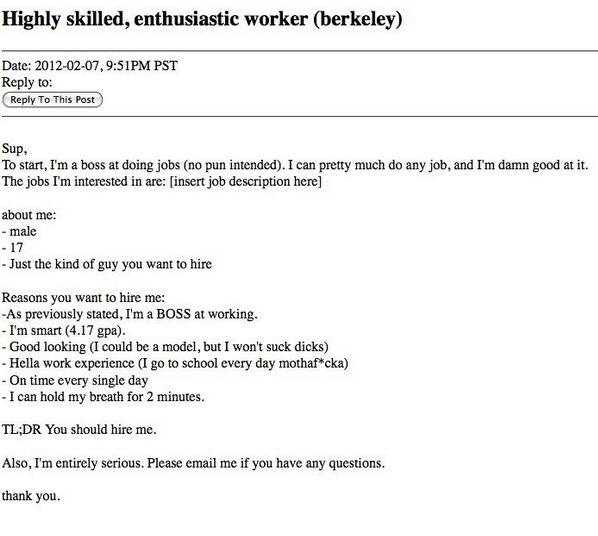 craigslist resume funny
