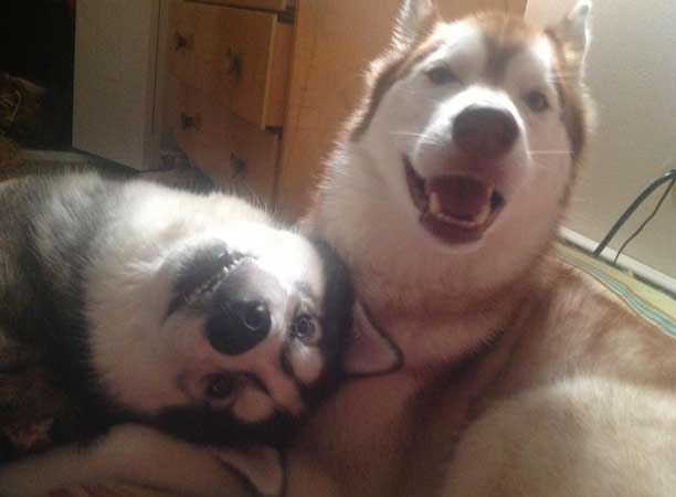 cutest-photo-ever