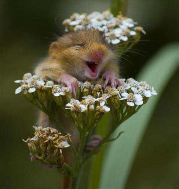 cutest-picture-ever