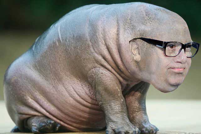 danny-devito-photoshop