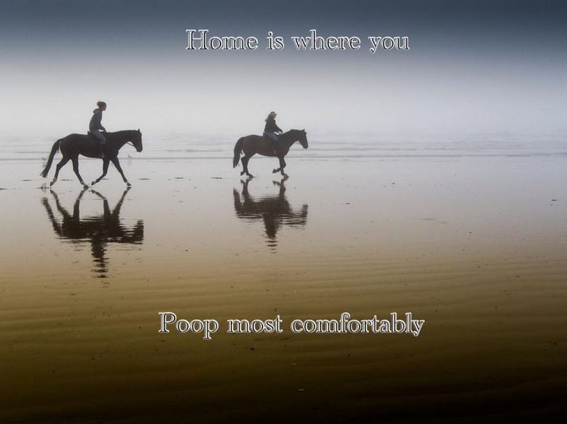 desktop wallpaper free