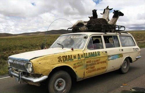 dial-a-llama