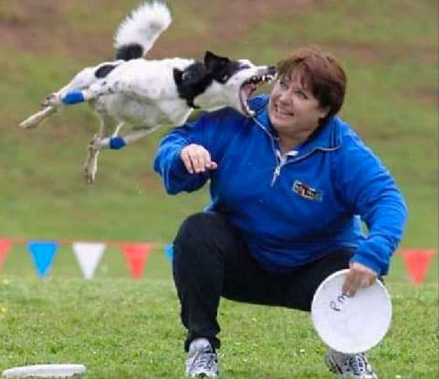disaster-strikes-dog