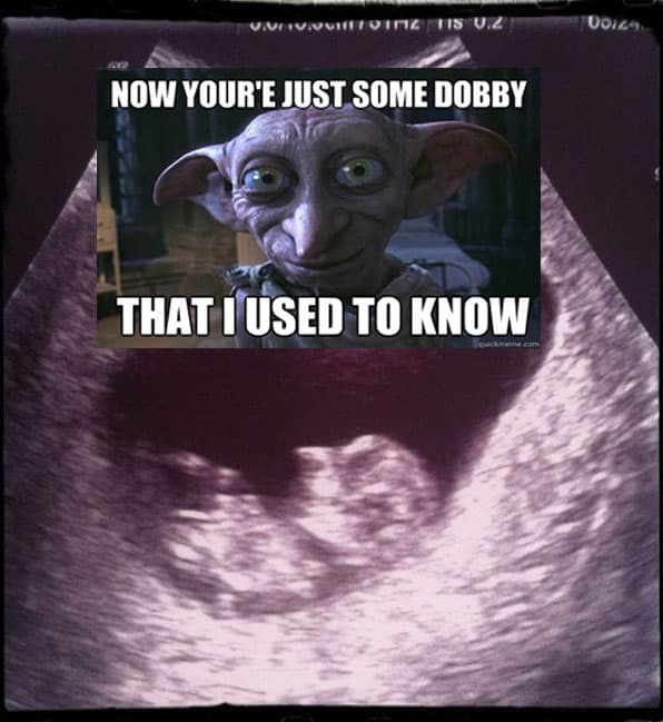dobby-sonogram