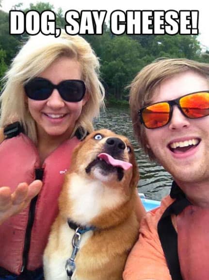 dog-say-cheese
