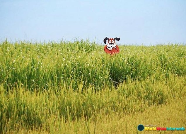 duck hunt real life