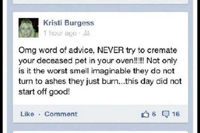 dumbest-facebook-post-ever