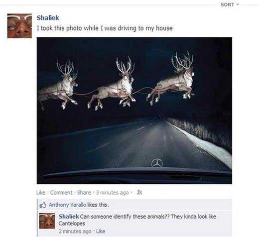 dumbest-things-ever-on-the-internet