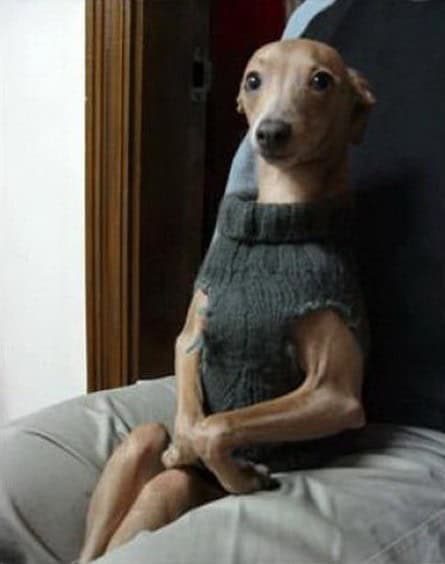 elegance isnt for everyone