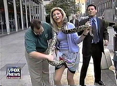 fox-news