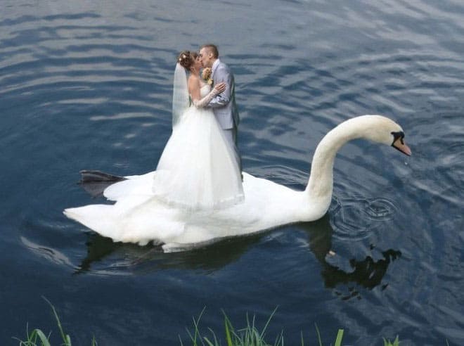 funniest-russian-wedding-portraits