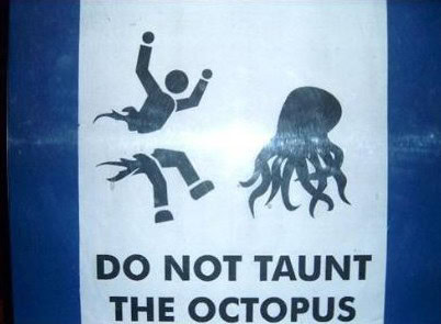 funniest pics ever